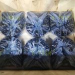 需要手動操作而配套延長軸和手輪的回轉驅動